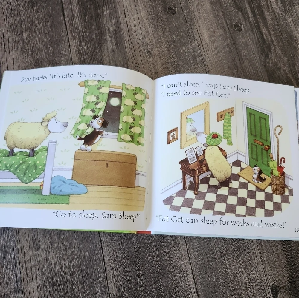 usborne nwot phonics